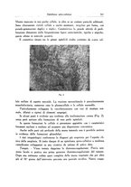 giornale/SBL0505701/1934/unico/00000581