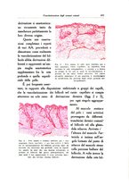 giornale/SBL0505701/1934/unico/00000719