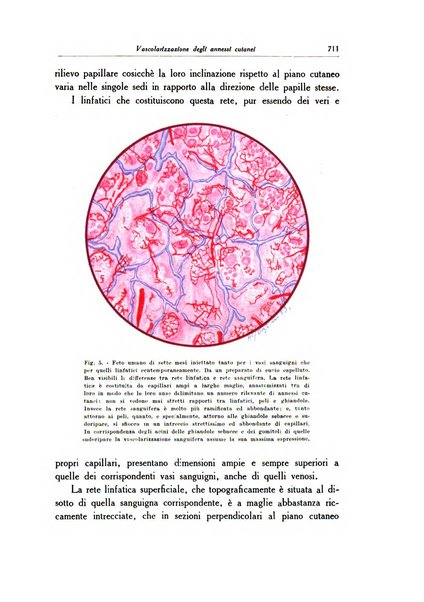 Archivio italiano di dermatologia, sifilografia e venereologia