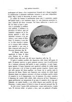 giornale/SBL0505701/1935/unico/00000357