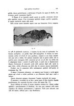 giornale/SBL0505701/1935/unico/00000359