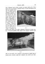 giornale/SBL0505701/1935/unico/00000393
