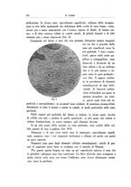 giornale/SBL0505701/1935/unico/00000398