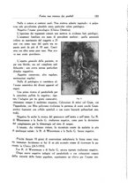 giornale/SBL0505701/1936/unico/00000191