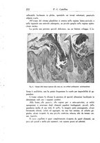 giornale/SBL0505701/1936/unico/00000286