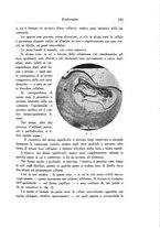 giornale/SBL0505701/1936/unico/00000353