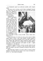 giornale/SBL0505701/1936/unico/00000373