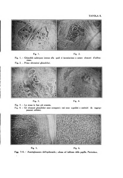 Archivio italiano di dermatologia, sifilografia e venereologia