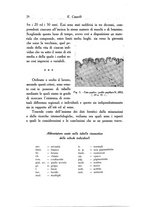 giornale/SBL0505701/1937/unico/00000032
