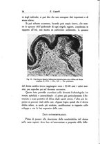 giornale/SBL0505701/1937/unico/00000064