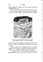 giornale/SBL0505701/1937/unico/00000070