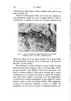 giornale/SBL0505701/1937/unico/00000072