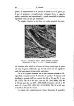 giornale/SBL0505701/1937/unico/00000076