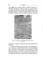 giornale/SBL0505701/1937/unico/00000078
