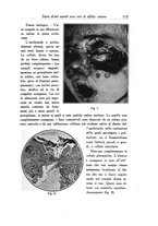 giornale/SBL0505701/1937/unico/00000165