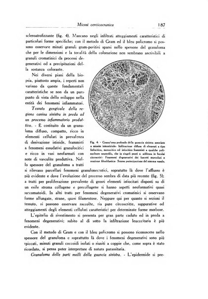 Archivio italiano di dermatologia, sifilografia e venereologia