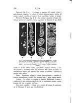 giornale/SBL0505701/1937/unico/00000206