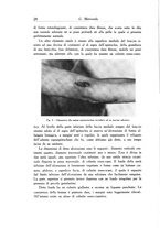 giornale/SBL0505701/1938/unico/00000034