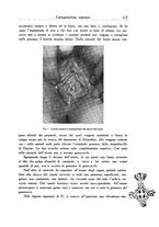 giornale/SBL0505701/1938/unico/00000127