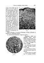 giornale/SBL0505701/1938/unico/00000241