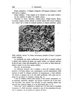 giornale/SBL0505701/1938/unico/00000242