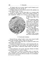 giornale/SBL0505701/1938/unico/00000254