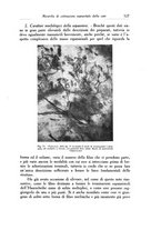giornale/SBL0505701/1938/unico/00000547