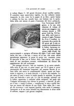 giornale/SBL0505701/1938/unico/00000635