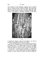 giornale/SBL0505701/1938/unico/00000644