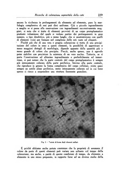 Archivio italiano di dermatologia, sifilografia e venereologia