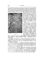 giornale/SBL0505701/1939/unico/00000482