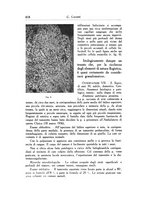 giornale/SBL0505701/1939/unico/00000484