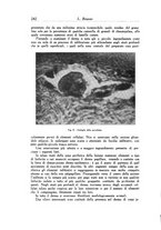 giornale/SBL0505701/1940/unico/00000256