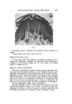 giornale/SBL0505701/1941-1942/unico/00000017