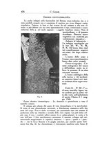 giornale/SBL0505701/1941-1942/unico/00000022