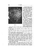 giornale/SBL0505701/1941-1942/unico/00000024