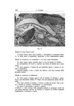 giornale/SBL0505701/1941-1942/unico/00000028