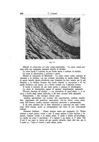 giornale/SBL0505701/1941-1942/unico/00000034