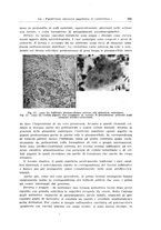 giornale/SBL0505701/1946/unico/00000083