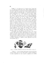 giornale/SBL0509897/1935/unico/00000036
