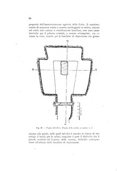 Studi etruschi