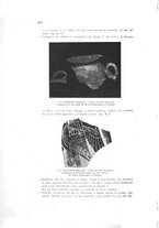 giornale/SBL0509897/1935/unico/00000514