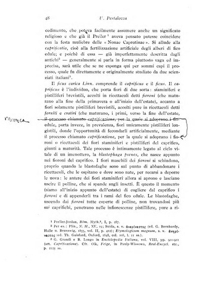 Studi e materiali di storia delle religioni