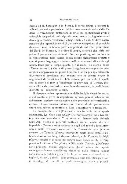 Rivista italiana di ornitologia