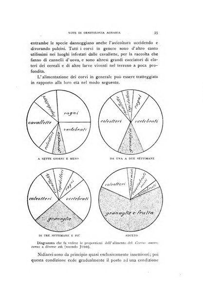 Rivista italiana di ornitologia