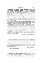 giornale/SBL0565515/1923/unico/00000035