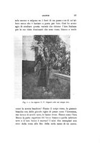 giornale/SBL0565515/1933/unico/00000069
