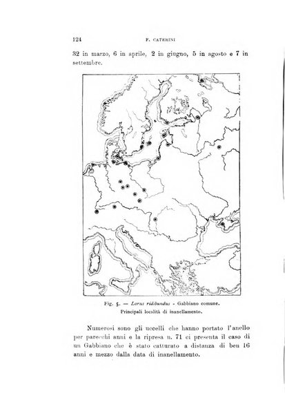 Rivista italiana di ornitologia