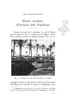 giornale/SBL0565515/1934/unico/00000155