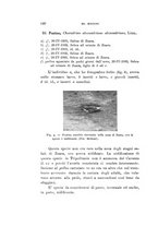 giornale/SBL0565515/1935/unico/00000160